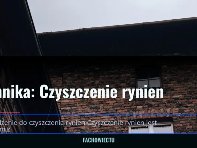 Technika: Czyszczenie rynien — fachowiectu.pl