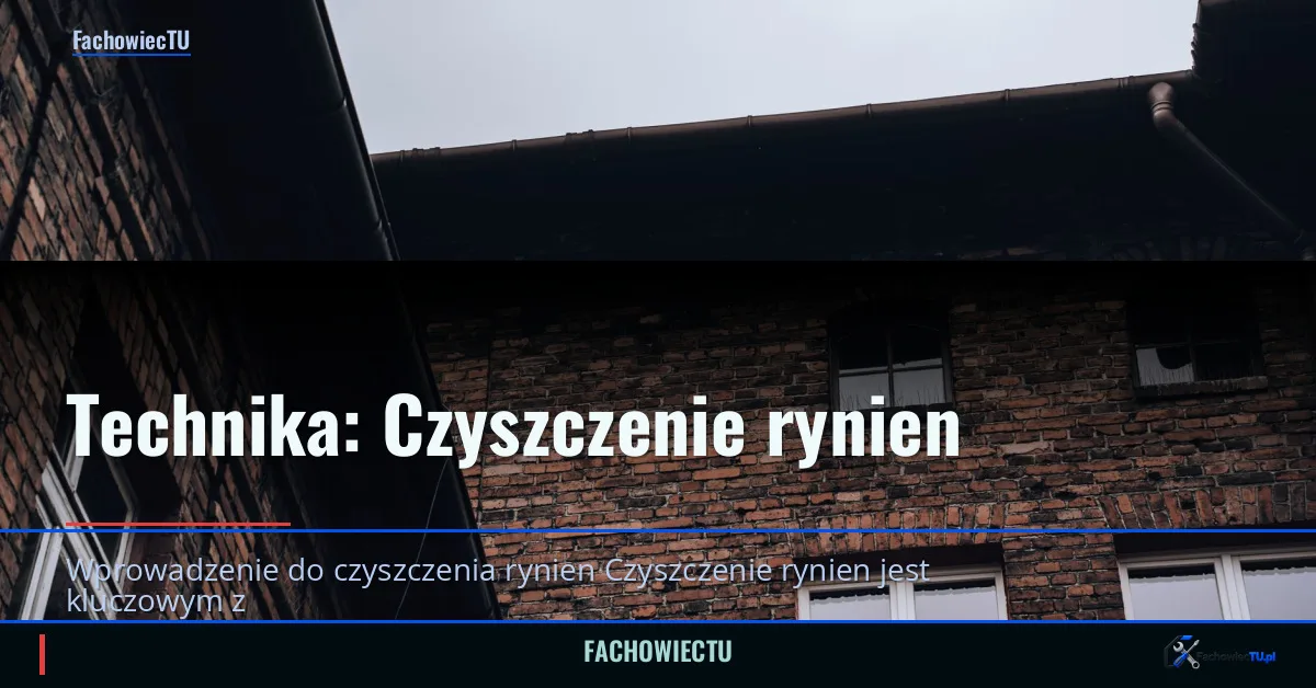 Technika: Czyszczenie rynien