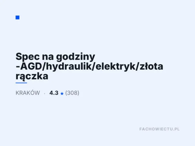 Spec na godziny -AGD/hydraulik/elektryk/złota rączka