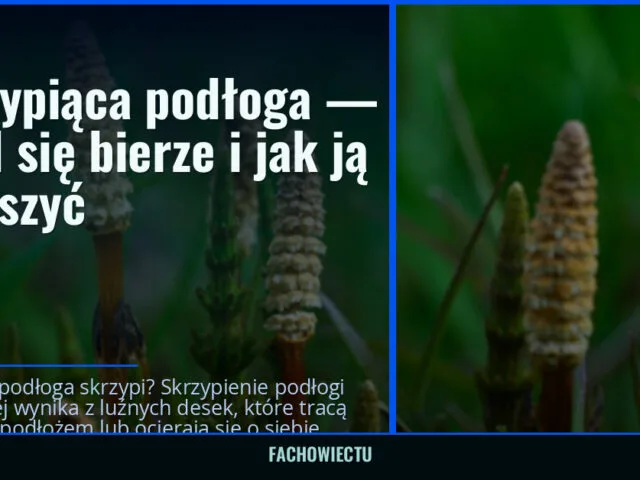 Skrzypiąca podłoga — skąd się bierze i jak ją wyciszyć
