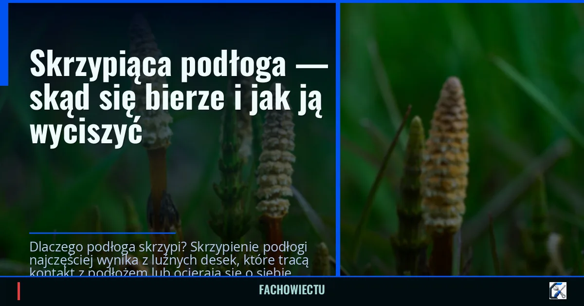 Skrzypiąca podłoga — skąd się bierze i jak ją wyciszyć