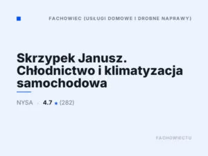 Skrzypek Janusz. Chłodnictwo i klimatyzacja samochodowa