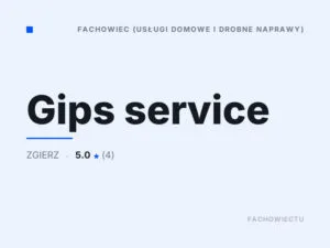Gips service