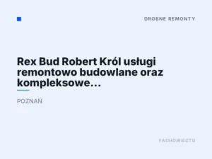Rex Bud Robert Król usługi remontowo budowlane oraz kompleksowe wykończenia wnętrz