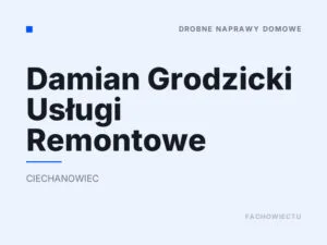 Damian Grodzicki Usługi Remontowe