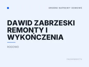 Dawid Zabrzeski Remonty i Wykończenia