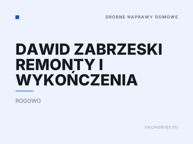 Dawid Zabrzeski Remonty i Wykończenia